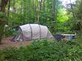 Woodland pitch