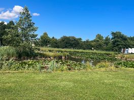 Pond view from pitch