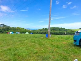Lush place