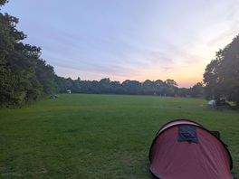 Campsite from my pitch