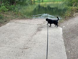 Launch for paddleboard or kayaks near campsite