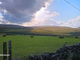 Scenic field vista