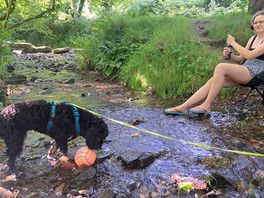 Afkoelen na de wandeling