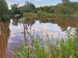 Fishing lake on site