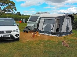 Ample sized pitches