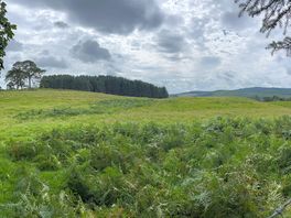 View from hill
