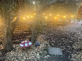 Fairy lights