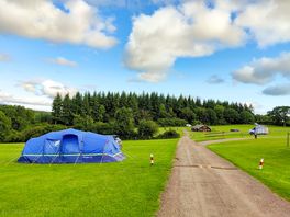 Visitor image of the forest view