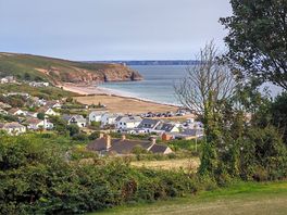 View from lower field gap between trees