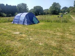 Nearest to showers and toilets, with some hardstanding parking