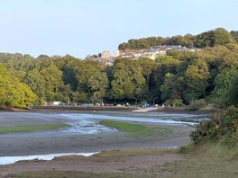 View along river