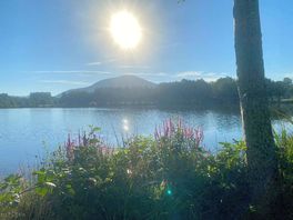 Local lake