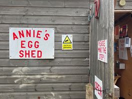 Very well stocked with fresh veg fruit and eggs