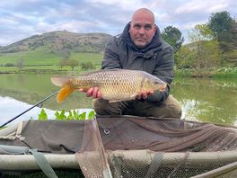 Mirror carp