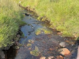 Stream in the blue walk