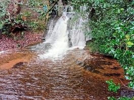 So many trails to explore