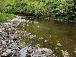 More swimming …
