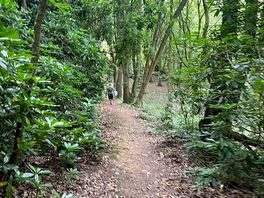 Path down to camp