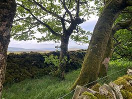 Another view from the site.