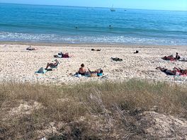 Local beach