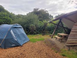 Our pitch