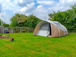 Electric optional grass tent pitches