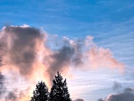 Evening view