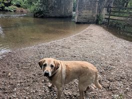 Respryn bridge - 17 mins away