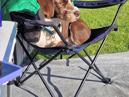 Chillin