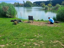 View from mallard lodge which allows dogs
