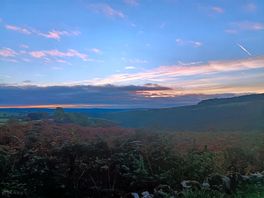Morning view