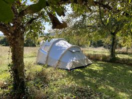 Located in a walnut orchard to keep the location cool and shaded