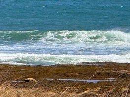 Some waves