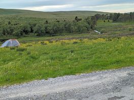 The field where tent was