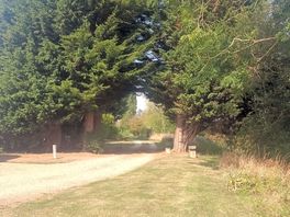 View from our site.