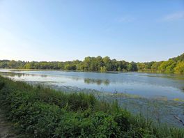 Lake view
