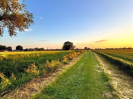 Path along the field at the end of the lane