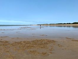 A beach - one of many