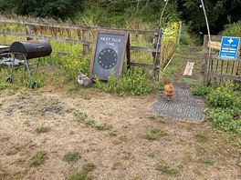 Chicken and rabbit garden