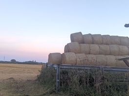 Lincolnshire at its best