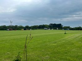 Lawn