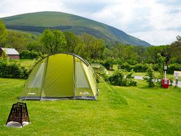 Grass pitches with electric hook-up