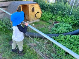 Enjoying the animals