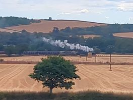 Steam train passing in the distance.