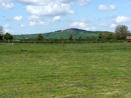 The view of the site