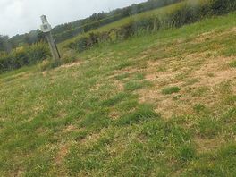 Nice flat pitch with easy access to the hook up and water