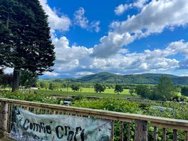 View from tea room.