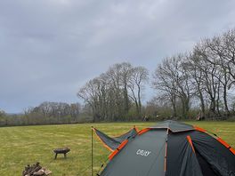 Set up