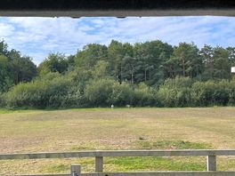 View from our back doors