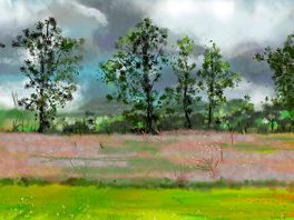Ipad sketch from our camper van across the mown field.